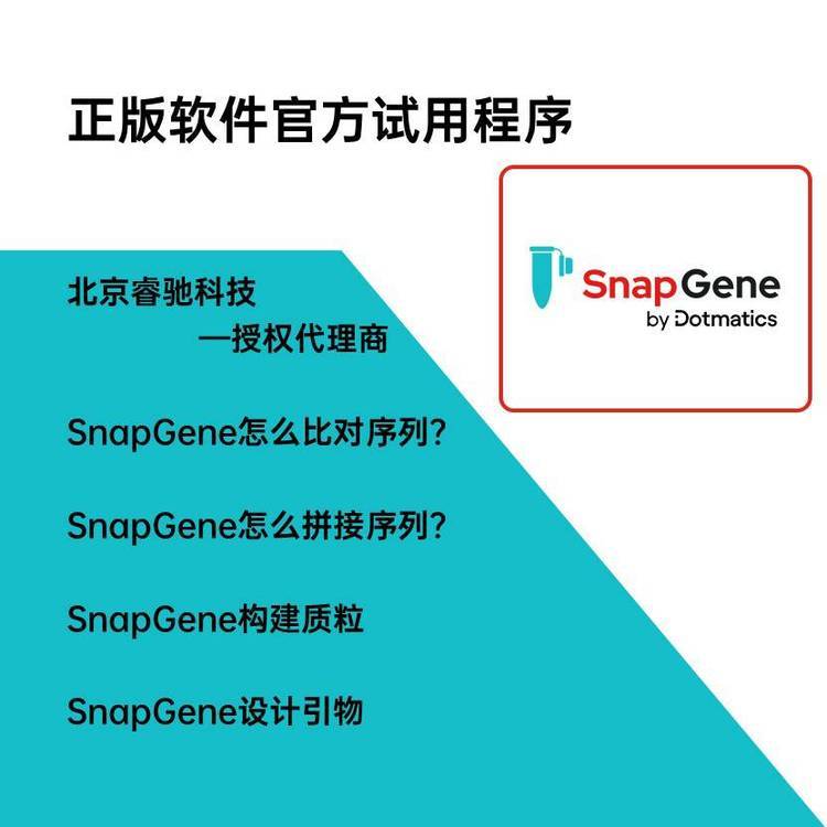 企业级软件开发如何穿越"交付即落后"困局：从需求治理到全生命周期价值交付